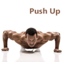 پوش آپ (Push Up ) در بدنسازی