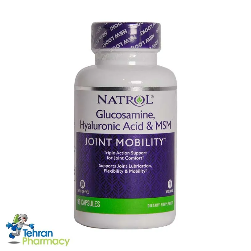هیالورونیک اسید گلوکزامین ام اس ام ناترول - NATROL Glucosamine Hyaluronic Acid MSM